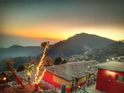 The Wood nest, Nainital The Wood nest, Nainital