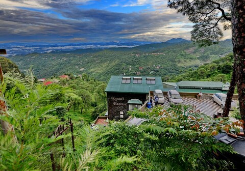 Kasauli Exotica