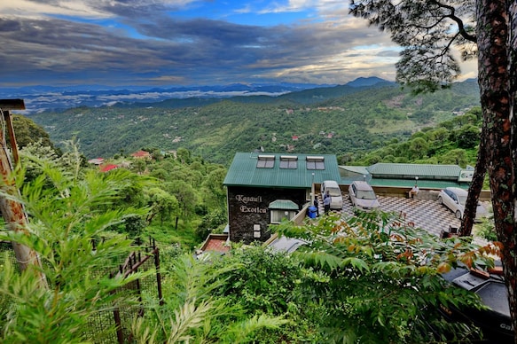 Kasauli Exotica