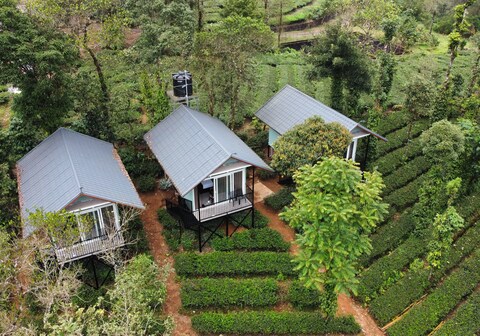 Arvion Holidays | Plantation View Cottages vagamon