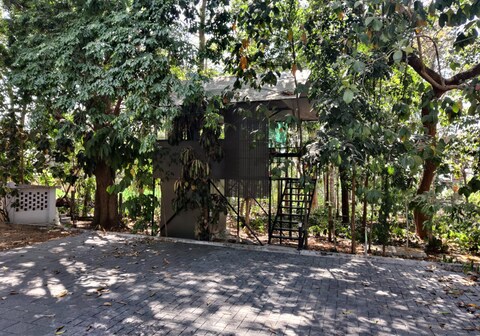 Hemera Kochi Tree Cabin