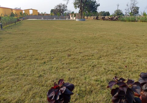 Tarakshu The Jungle Resort