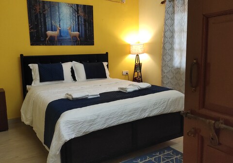 kiwi rooms