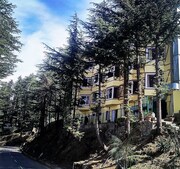 Wood Stock Resort, Shimla Wood Stock Resort, Shimla