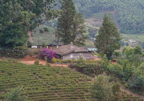 Madupatty Lakeview Cottage