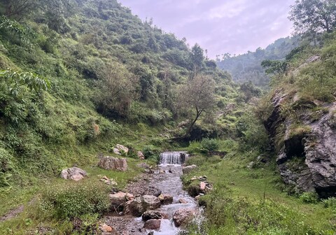 Whispering Shimla view