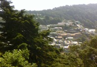 Chinar Guest House, Nainital Chinar Guest House, Nainital