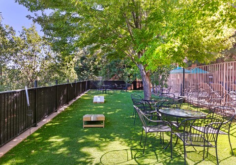 Best Western Plus Inn Of Williams