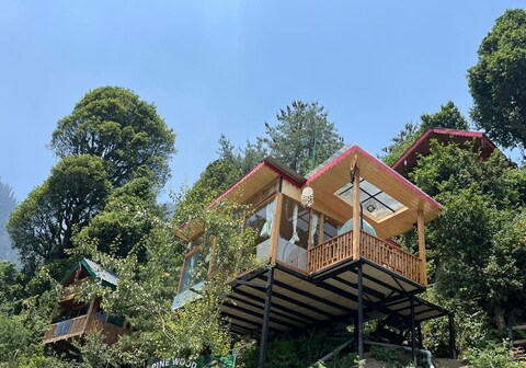Pine wood Jacuzzi Tree House