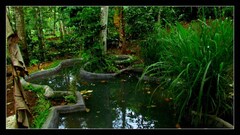 MONSOON RETREATS, Thekkady MONSOON RETREATS, Thekkady