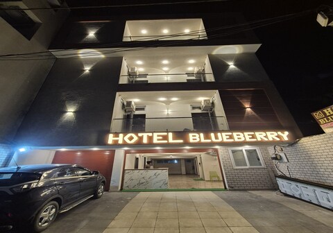 Hotel Blueberry