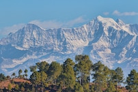 Whispering Pines, Dhanaulti Whispering Pines, Dhanaulti