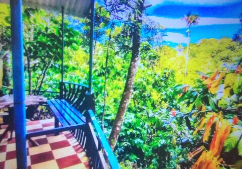 Green portico cottage munnar