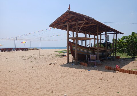 Dolphin beech resort