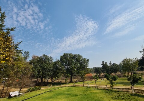 Wild Woods Tiger Resort