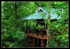 MONSOON RETREATS, Thekkady MONSOON RETREATS, Thekkady