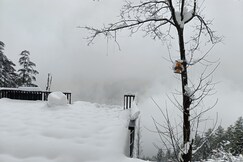 The Cozi Camps, Kasol The Cozi Camps, Kasol
