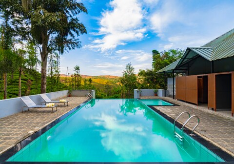 Winter Vale Green Stay