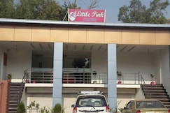 Little pink, Agra Little pink, Agra