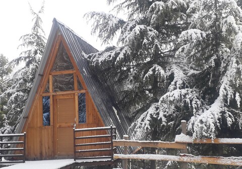 Jungle Creek Shanghar