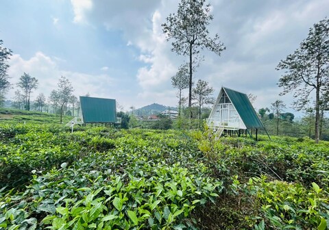 Estate Inn | A Frame in Tea Valley