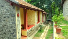 The Last Shola, Yercaud The Last Shola, Yercaud