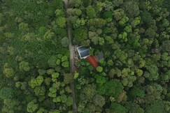 Tapovana - Hillside Retreat, Thekkady Tapovana - Hillside Retreat, Thekkady