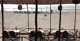 Riverside Hotel Mandrem, Goa Riverside Hotel Mandrem, Goa