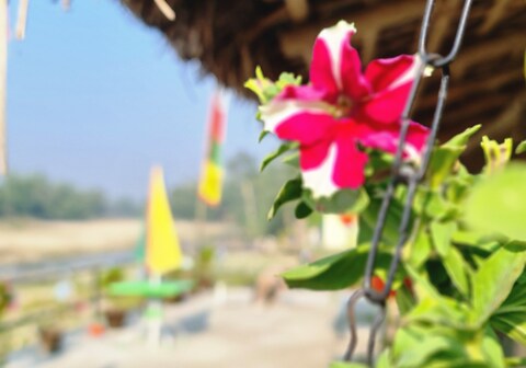 Grand dooars eco resort