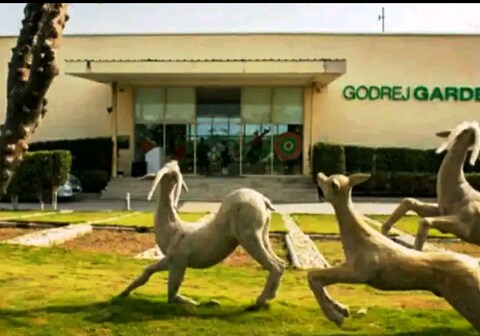 Luxurious Room in Ahmedabad