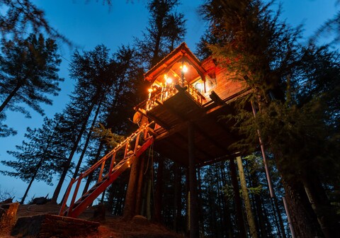 Fairytale Treehouse In Fagu