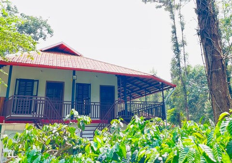 THE MASCARA HOMESTAY