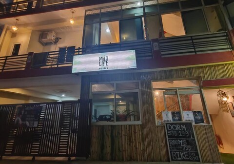 Mild Life Hostel | Rooms and Dorms