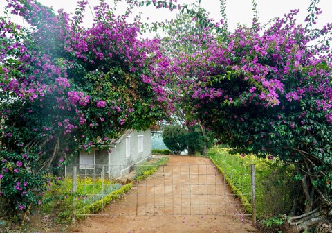 Madupatty Lakeview Cottage