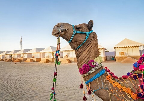 Qatar luxury camp Jaisalmer