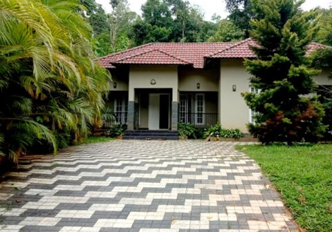 Forest View Homestay