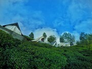 Janardan Resort Ooty, Ooty Janardan Resort Ooty, Ooty
