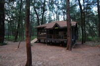 Devbagh beach resort by Jungle Lodges, Karwar Devbagh beach resort by Jungle Lodges, Karwar