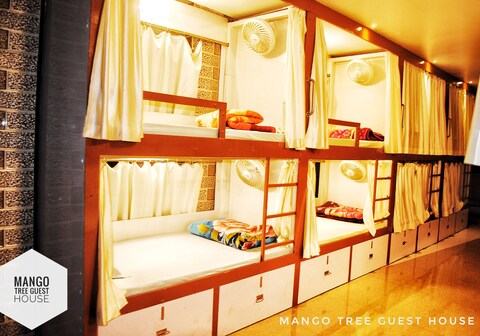 The Mango Tree | Rooms Dorms