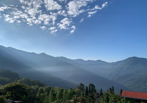 The Golden Nest Homestay
