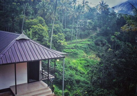 Miracle Valley,Munnar