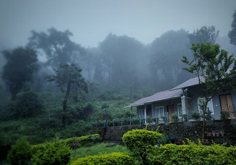Skybz Kuhi the Mist Munnar