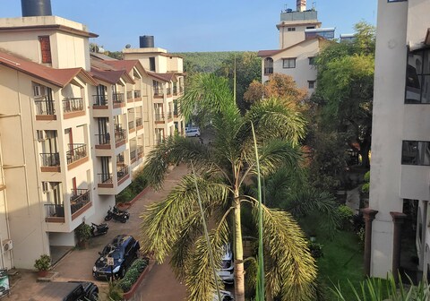 Assagao Studio Royale