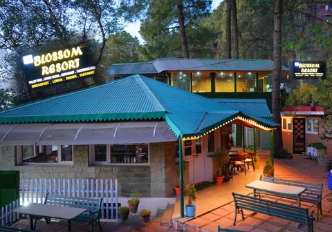 Blossom Resort Kasauli