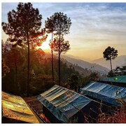 JUNGLE STAYS, Chail JUNGLE STAYS, Chail