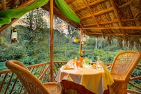 Evergreen County Coorg Adventure, Coorg Evergreen County Coorg Adventure, Coorg