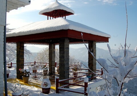 Jacaranda Estate | Cottages & Diner