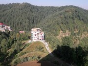 Green View Shimla Homestay, Shimla Green View Shimla Homestay, Shimla