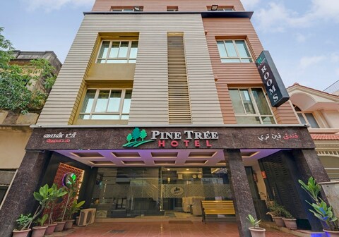 Pine Tree Boutique Hotel (US Consulate, Apollo Hospital & Sankara Nethralaya)