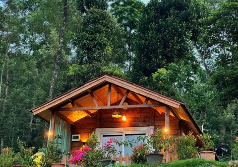 Oxyzone Coorg by StayApart